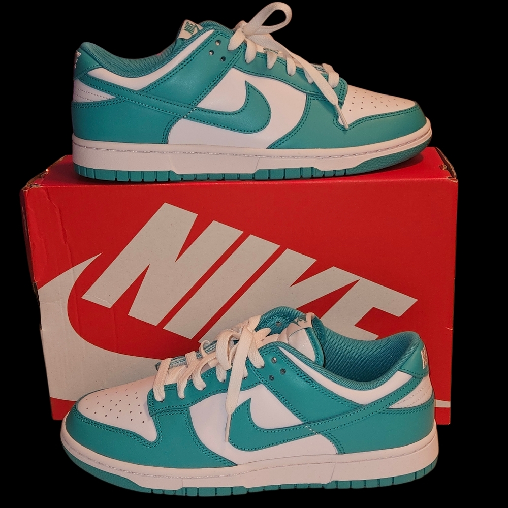 NWB NIKE DUNK LOW M9/W10.5